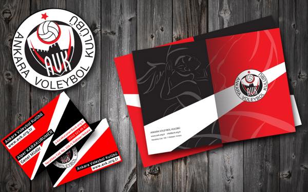 Ankara Voleybol Kulübü case study - Image 1