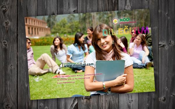 Mooi International case study - Image 1