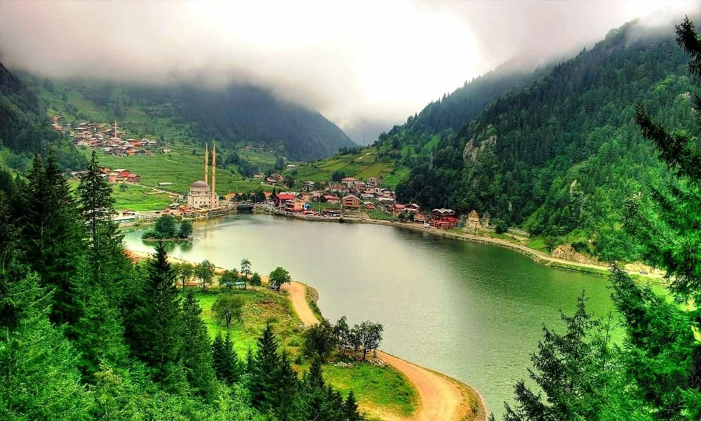 Doğu Karadeniz Belediyeler Birliği case study - Image 1